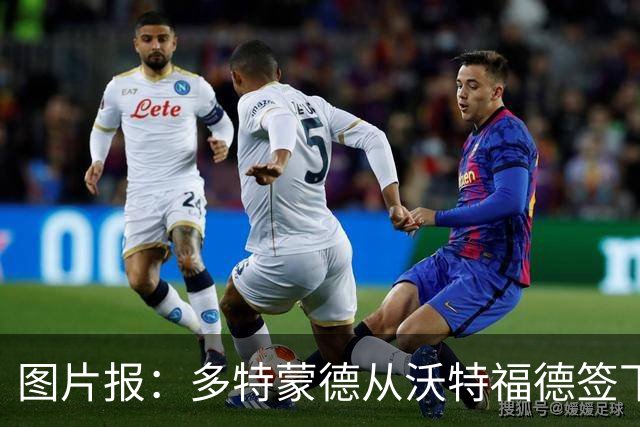 图片报：多特蒙德从沃特福德签下了一位草坪管理专家