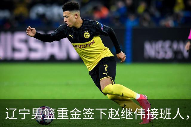 辽宁男篮重金签下赵继伟接班人，刘晓宇重返北控，广东内线补强遇阻